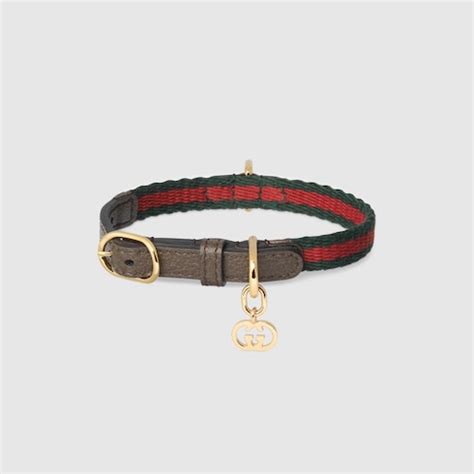 cat gucci collar|Gucci dog collar backpack.